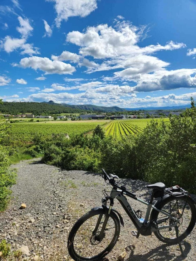 Vélo électrique sur un chemin entouré de vignes en Ardèche, activité de balade et tourisme nature. Parfait pour les clients de conciergerie vallon pont d'arc et alentours.